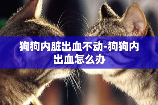 狗狗內臟出血不動-狗狗內出血怎么辦