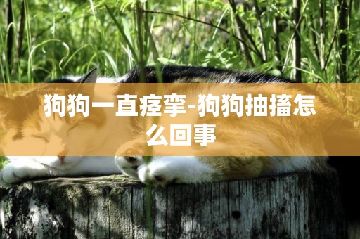 狗狗一直痙攣-狗狗抽搐怎么回事