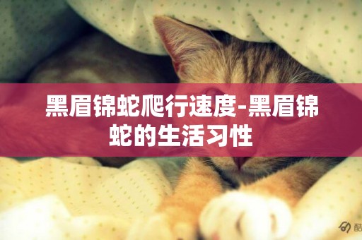 黑眉錦蛇爬行速度-黑眉錦蛇的生活習性