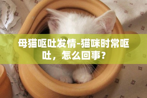 母貓嘔吐發情-貓咪時常嘔吐，怎么回事？