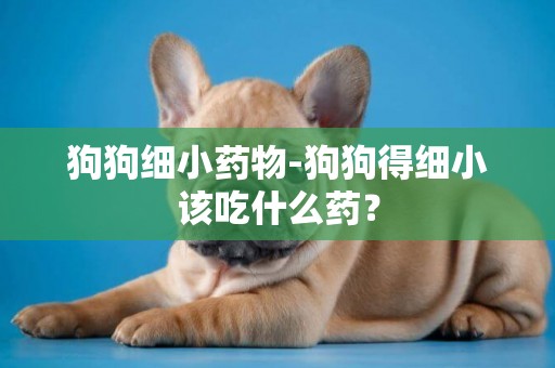狗狗細小藥物-狗狗得細小該吃什么藥？
