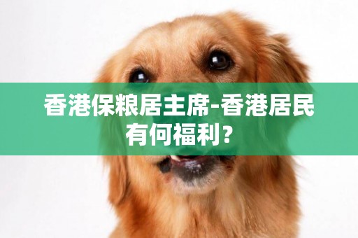 香港保糧居主席-香港居民有何福利？