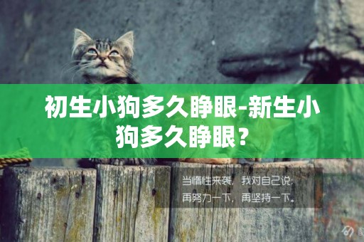 初生小狗多久睜眼-新生小狗多久睜眼？