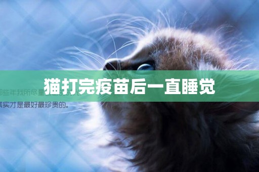 貓打完疫苗后一直睡覺