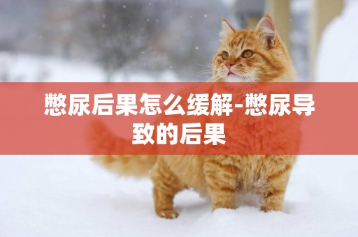 憋尿后果怎么緩解-憋尿導致的后果