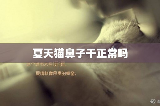 夏天貓鼻子干正常嗎