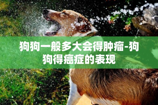 狗狗一般多大會得腫瘤-狗狗得癌癥的表現