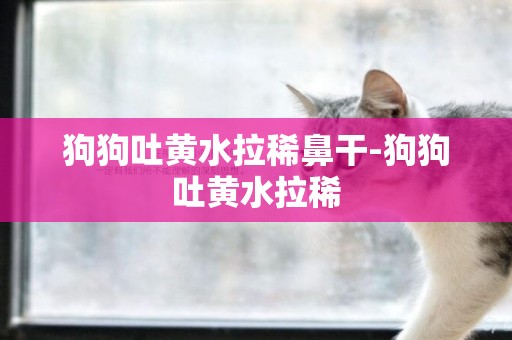 狗狗吐黃水拉稀鼻干-狗狗吐黃水拉稀