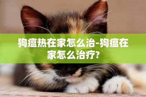 狗瘟熱在家怎么治-狗瘟在家怎么治療?