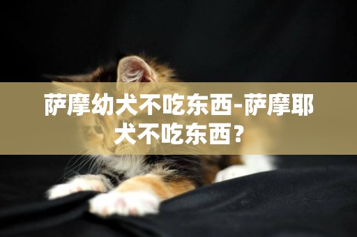 薩摩幼犬不吃東西-薩摩耶犬不吃東西？