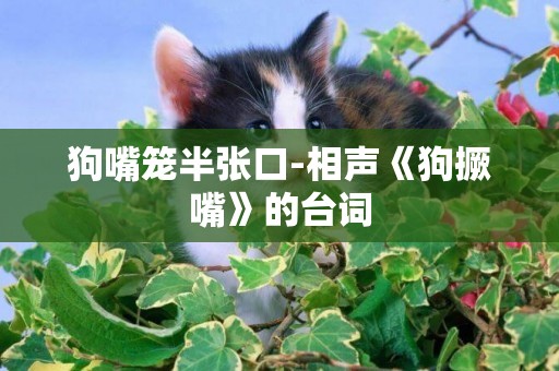 狗嘴籠半張口-相聲《狗撅嘴》的臺詞