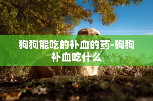狗狗能吃的補血的藥-狗狗補血吃什么