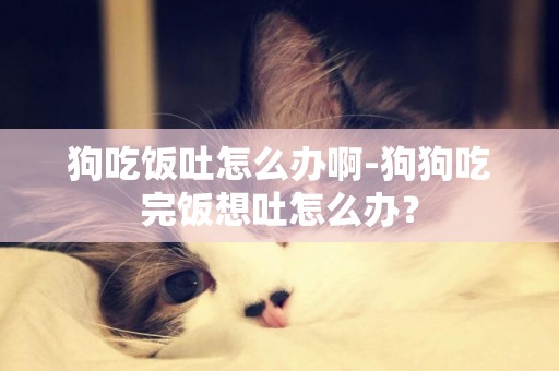 狗吃飯吐怎么辦啊-狗狗吃完飯想吐怎么辦？
