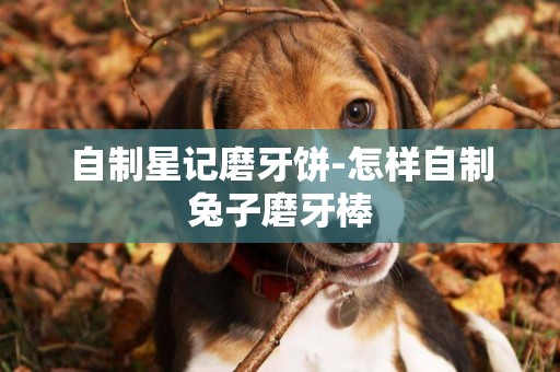 自制星記磨牙餅-怎樣自制兔子磨牙棒