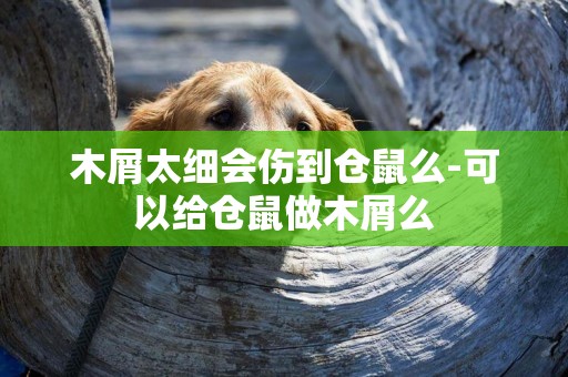 木屑太細會傷到倉鼠么-可以給倉鼠做木屑么