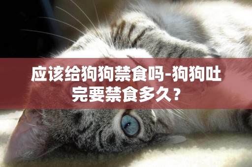 應該給狗狗禁食嗎-狗狗吐完要禁食多久？