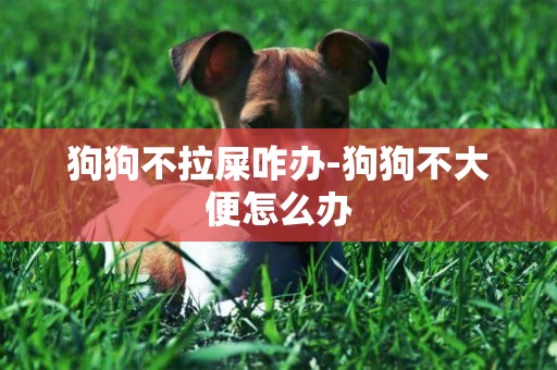 狗狗不拉屎咋辦-狗狗不大便怎么辦