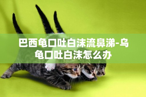 巴西龜口吐白沫流鼻涕-烏龜口吐白沫怎么辦