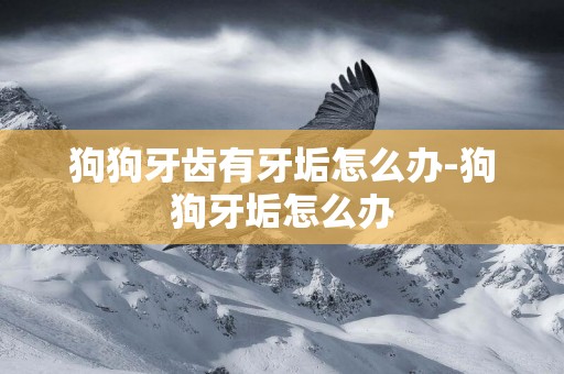 狗狗牙齒有牙垢怎么辦-狗狗牙垢怎么辦
