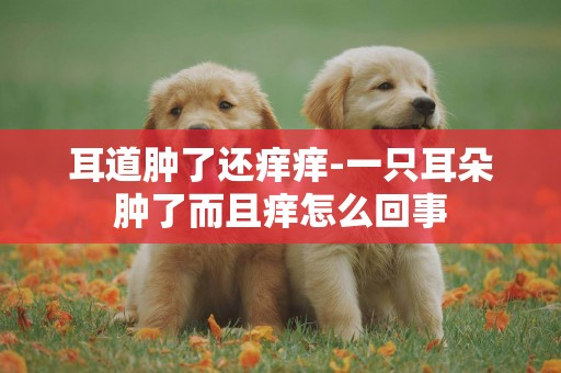 耳道腫了還癢癢-一只耳朵腫了而且癢怎么回事