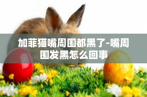 加菲貓嘴周圍都黑了-嘴周圍發黑怎么回事