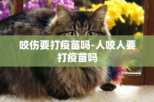 咬傷要打疫苗嗎-人咬人要打疫苗嗎