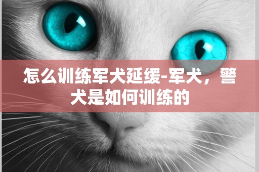 怎么訓練軍犬延緩-軍犬，警犬是如何訓練的