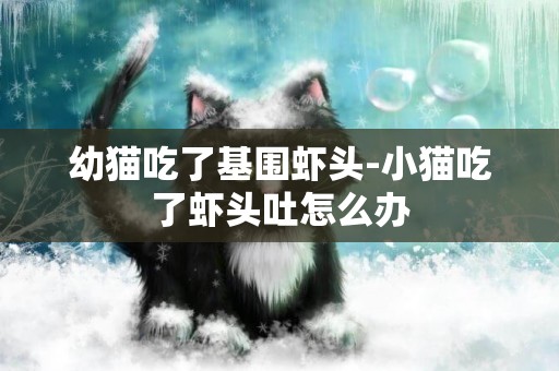 幼貓吃了基圍蝦頭-小貓吃了蝦頭吐怎么辦