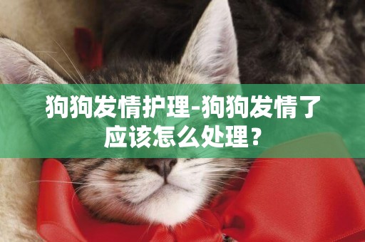 狗狗發情護理-狗狗發情了應該怎么處理？