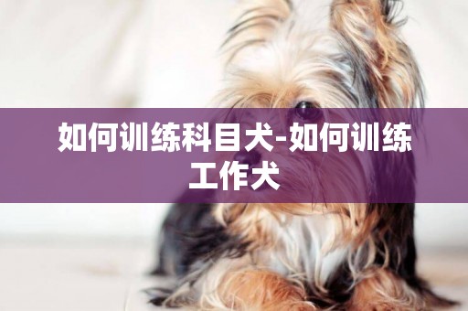 如何訓練科目犬-如何訓練工作犬