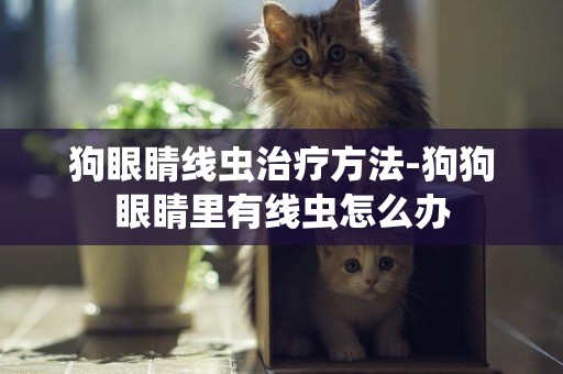 狗眼睛線蟲治療方法-狗狗眼睛里有線蟲怎么辦