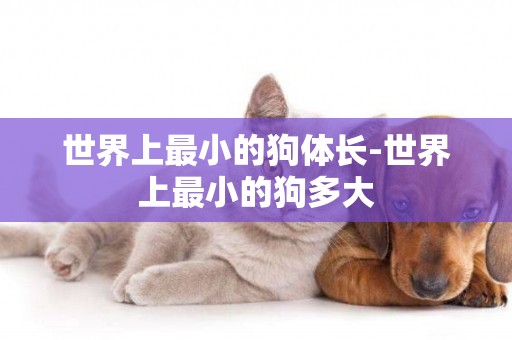 世界上最小的狗體長-世界上最小的狗多大