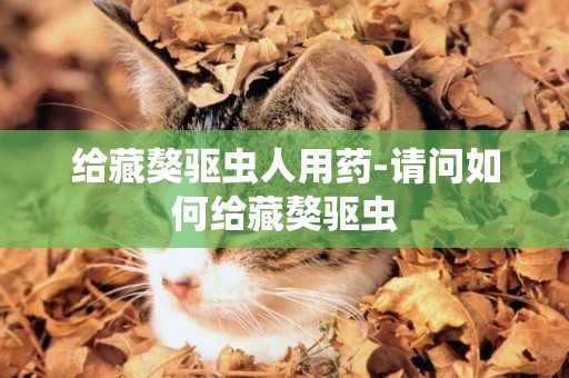 給藏獒驅蟲人用藥-請問如何給藏獒驅蟲