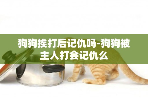 狗狗挨打后記仇嗎-狗狗被主人打會記仇么
