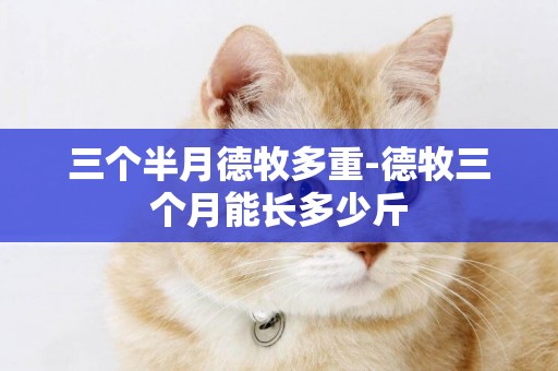 三個半月德牧多重-德牧三個月能長多少斤