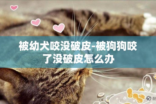 被幼犬咬沒破皮-被狗狗咬了沒破皮怎么辦
