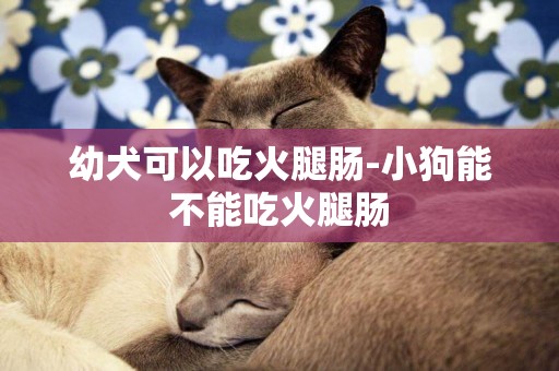 幼犬可以吃火腿腸-小狗能不能吃火腿腸