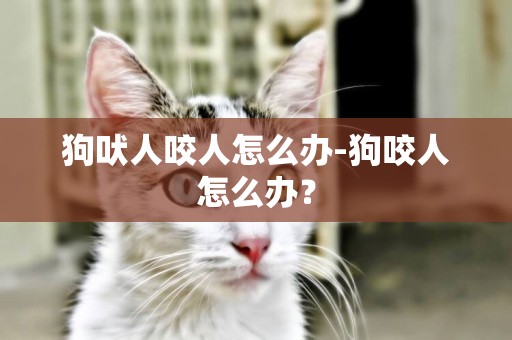 狗吠人咬人怎么辦-狗咬人怎么辦？