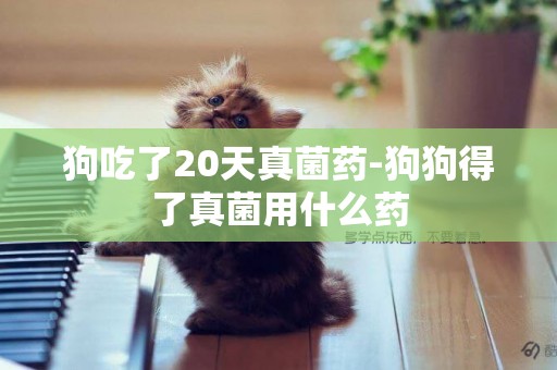 狗吃了20天真菌藥-狗狗得了真菌用什么藥