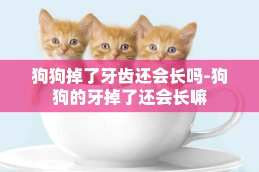 狗狗掉了牙齒還會長嗎-狗狗的牙掉了還會長嘛