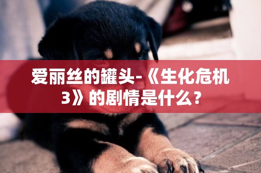 愛麗絲的罐頭-《生化危機3》的劇情是什么？