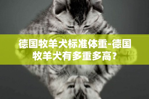 德國牧羊犬標準體重-德國牧羊犬有多重多高？