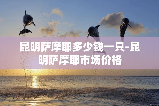 昆明薩摩耶多少錢一只-昆明薩摩耶市場價格