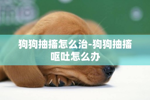 狗狗抽搐怎么治-狗狗抽搐嘔吐怎么辦