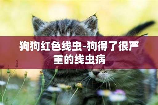 狗狗紅色線蟲-狗得了很嚴重的線蟲病