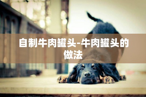 自制牛肉罐頭-牛肉罐頭的做法