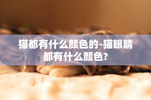 貓都有什么顏色的-貓眼睛都有什么顏色?