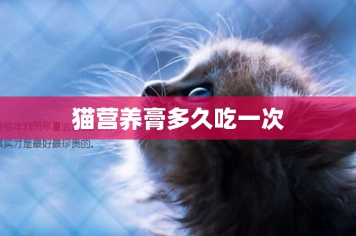 貓營養膏多久吃一次