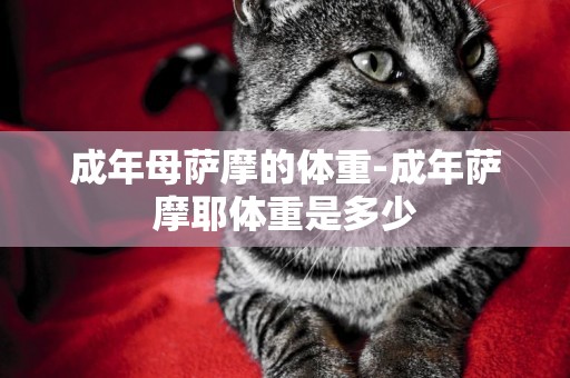 成年母薩摩的體重-成年薩摩耶體重是多少