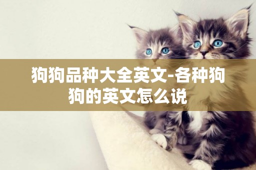 狗狗品種大全英文-各種狗狗的英文怎么說